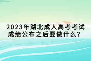 2023年湖北成人高考考試成績公布之后要做什么？