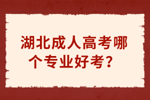 湖北成人高考哪個專業(yè)好考？