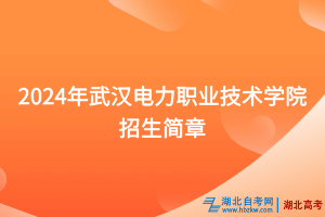 2024年武漢電力職業(yè)技術(shù)學(xué)院招生簡章