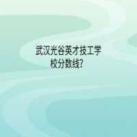武漢光谷英才技工學校分數(shù)線？