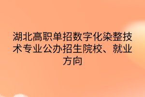 湖北高職單招數(shù)字化染整技術專業(yè)公辦招生院校、就業(yè)方向