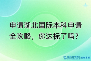 申請湖北國際本科申請全攻略，你達(dá)標(biāo)了嗎？