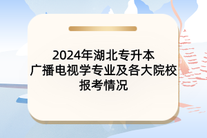 2024年湖北專升本廣播電視學(xué)專業(yè)及各大院校報考情況