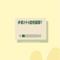 中專2十3如何解釋？