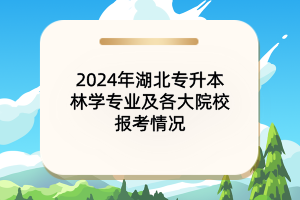 2024年湖北專升本林學(xué)專業(yè)及各大院校報考情況