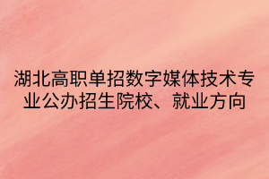 湖北高職單招數(shù)字媒體技術(shù)專(zhuān)業(yè)公辦招生院校、就業(yè)方向