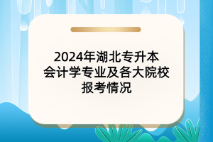 2024年湖北專升本會計(jì)學(xué)專業(yè)及各大院校報(bào)考情況