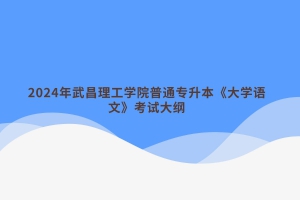 2024年武昌理工學(xué)院普通專升本《大學(xué)語文》考試大綱