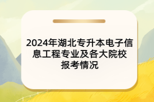 2024年湖北專升本電子信息工程專業(yè)及各大院校報考情況