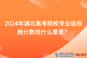 2024年湖北高考院校專業(yè)組投檔分?jǐn)?shù)線什么意思？