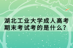 湖北工業(yè)大學(xué)成人高考期末考試考的是什么？