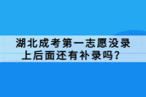 湖北成考第一志愿沒錄上后面還有補錄嗎？