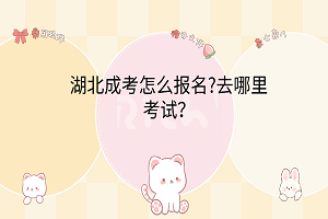 湖北成考怎么報(bào)名?去哪里考試？