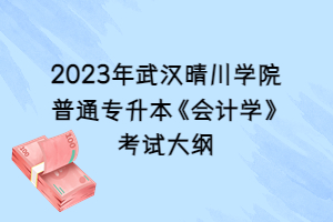 2023年武漢晴川學院普通專升本《會計學》考試大綱