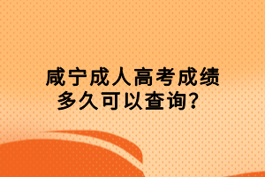 咸寧成人高考成績多久可以查詢？