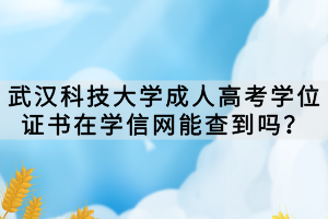 武漢科技大學(xué)成人高考學(xué)位證書在學(xué)信網(wǎng)能查到嗎？