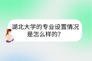 湖北大學(xué)的專(zhuān)業(yè)設(shè)置情況是怎么樣的？