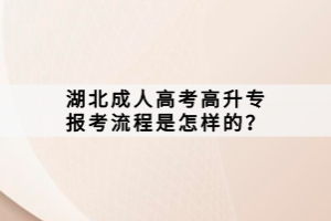 湖北成人高考高升專報(bào)考流程是怎樣的？