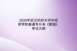 ?2024年武漢紡織大學外經(jīng)貿(mào)學院普通專升本《素描》考試大綱