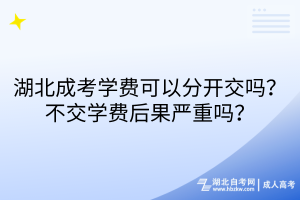 湖北成考學(xué)費可以分開交嗎？不交學(xué)費后果嚴(yán)重嗎？