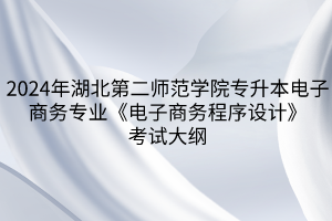 2024年湖北第二師范學(xué)院專升本?電子商務(wù)專業(yè)《電子商務(wù)程序設(shè)計(jì)》考試大綱