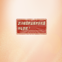 武漢榕霖職業(yè)技術(shù)學(xué)校是什么學(xué)校？