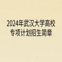 2024年武漢大學(xué)高校專項(xiàng)計(jì)劃招生簡(jiǎn)章