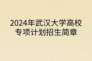 2024年武漢大學高校專項計劃招生簡章