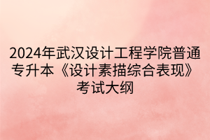 2024年武漢設計工程學院普通專升本《設計素描綜合表現(xiàn)》考試大綱