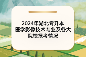 2024年湖北專升本醫(yī)學影像技術專業(yè)及院校報考情況