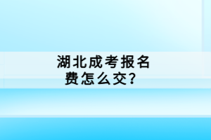 湖北成考報(bào)名費(fèi)怎么交？