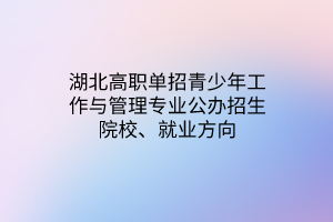 湖北高職單招青少年工作與管理專業(yè)公辦招生院校、就業(yè)方向