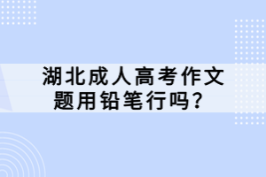 湖北成人高考作文題用鉛筆行嗎？