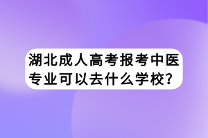 湖北成人高考報(bào)考中醫(yī)專(zhuān)業(yè)可以去什么學(xué)校？