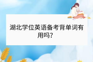 湖北學(xué)位英語備考背單詞有用嗎？