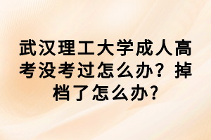 武漢理工大學(xué)成人高考沒考過怎么辦？掉檔了怎么辦?