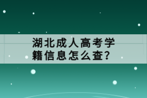 湖北成人高考學(xué)籍信息怎么查？