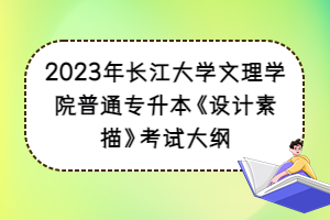2023年長江大學(xué)文理學(xué)院普通專升本《設(shè)計(jì)素描》考試大綱