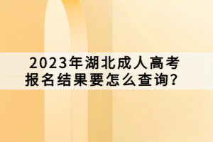 2023年湖北成人高考報(bào)名結(jié)果要怎么查詢？