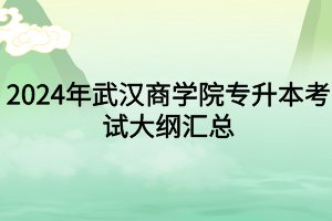 2024年武漢商學院專升本各專業(yè)考試大綱匯總