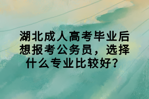 湖北成人高考畢業(yè)后想報考公務(wù)員，選擇什么專業(yè)比較好？