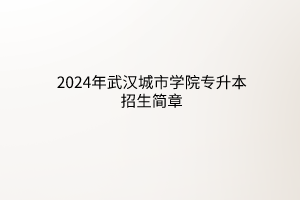 2024年武漢城市學(xué)院專升本招生簡(jiǎn)章