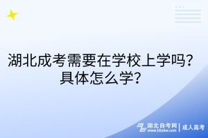 湖北成考需要在學(xué)校上學(xué)嗎？具體怎么學(xué)？