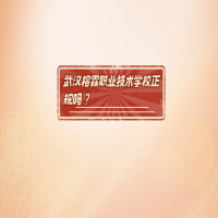武漢榕霖職業(yè)技術(shù)學(xué)校正規(guī)嗎？