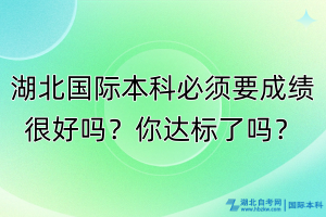 湖北國際本科必須成績很好嗎？你達(dá)標(biāo)了嗎？