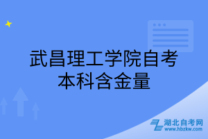 武昌理工學(xué)院自考本科含金量