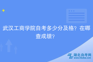 武漢工商學(xué)院自考多少分及格？在哪查成績(jī)？