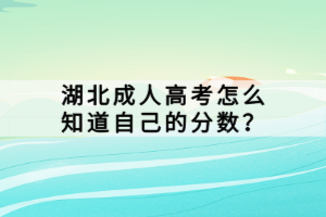 湖北成人高考怎么知道自己的分數(shù)？