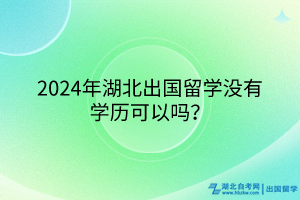 2024年湖北出國留學(xué)沒有學(xué)歷可以嗎？