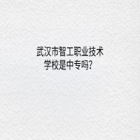 武漢市智工職業(yè)技術(shù)學校是中專嗎？